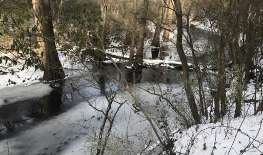 Photo of UNDER CONTRACT!  25.25 Acres of Creek Front Hunting Land For Sale in Edgecombe County NC!
