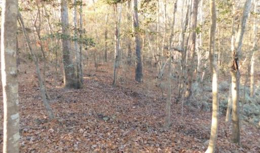 Photo of UNDER CONTRACT!  25.25 Acres of Creek Front Hunting Land For Sale in Edgecombe County NC!