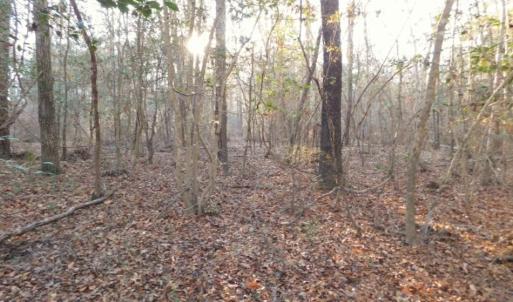 Photo of UNDER CONTRACT!  25.25 Acres of Creek Front Hunting Land For Sale in Edgecombe County NC!