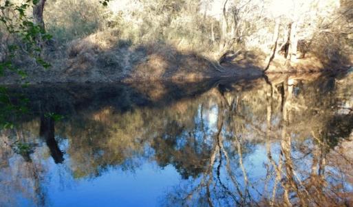 Photo of UNDER CONTRACT!  25.25 Acres of Creek Front Hunting Land For Sale in Edgecombe County NC!