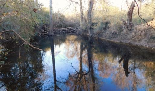 Photo of UNDER CONTRACT!  25.25 Acres of Creek Front Hunting Land For Sale in Edgecombe County NC!