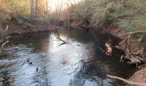 Photo of UNDER CONTRACT!  25.25 Acres of Creek Front Hunting Land For Sale in Edgecombe County NC!
