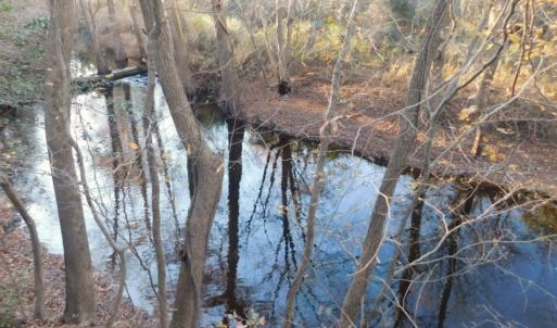 Photo of UNDER CONTRACT!  25.25 Acres of Creek Front Hunting Land For Sale in Edgecombe County NC!