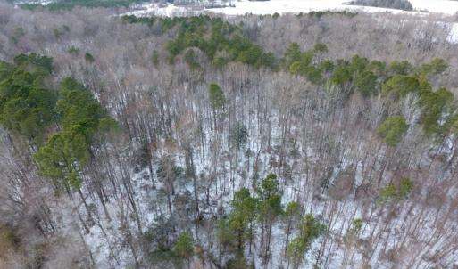 Photo of UNDER CONTRACT!  26.89 Acres of Residential and Timber Land For Sale in Edgecombe County NC!