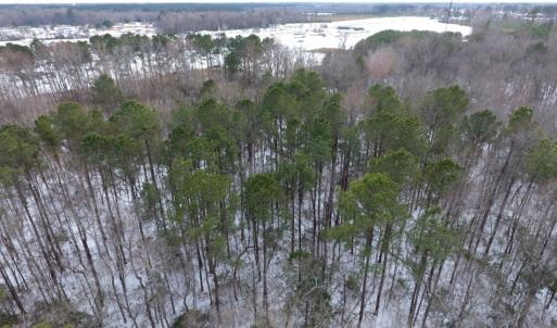 Photo of UNDER CONTRACT!  26.89 Acres of Residential and Timber Land For Sale in Edgecombe County NC!