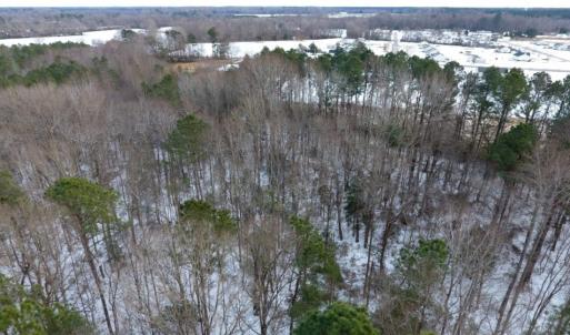 Photo of UNDER CONTRACT!  26.89 Acres of Residential and Timber Land For Sale in Edgecombe County NC!