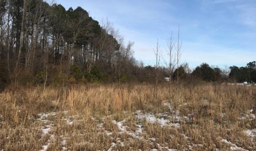 Photo of UNDER CONTRACT!  26.89 Acres of Residential and Timber Land For Sale in Edgecombe County NC!