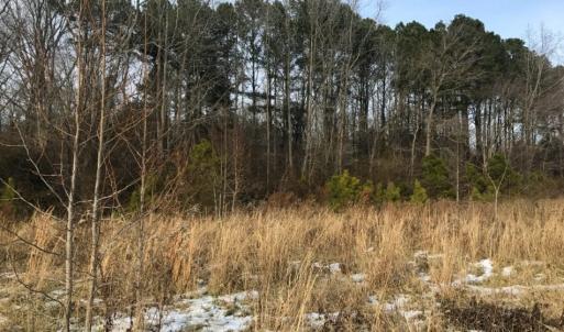 Photo of UNDER CONTRACT!  26.89 Acres of Residential and Timber Land For Sale in Edgecombe County NC!