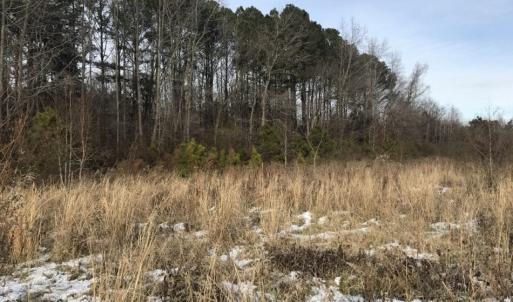 Photo of UNDER CONTRACT!  26.89 Acres of Residential and Timber Land For Sale in Edgecombe County NC!