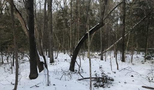 Photo of UNDER CONTRACT!  26.89 Acres of Residential and Timber Land For Sale in Edgecombe County NC!