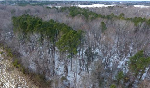 Photo of UNDER CONTRACT!  26.89 Acres of Residential and Timber Land For Sale in Edgecombe County NC!