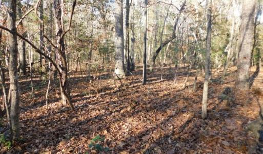 Photo of UNDER CONTRACT!  26.89 Acres of Residential and Timber Land For Sale in Edgecombe County NC!