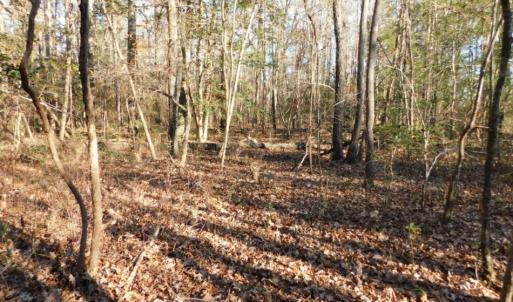 Photo of UNDER CONTRACT!  26.89 Acres of Residential and Timber Land For Sale in Edgecombe County NC!