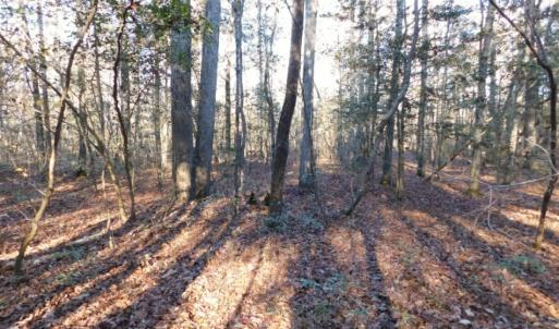 Photo of UNDER CONTRACT!  26.89 Acres of Residential and Timber Land For Sale in Edgecombe County NC!