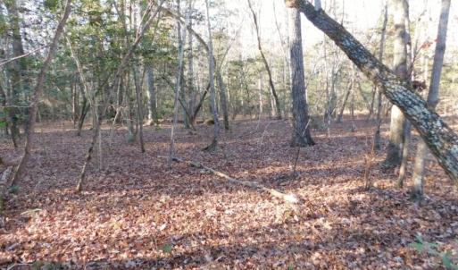 Photo of UNDER CONTRACT!  26.89 Acres of Residential and Timber Land For Sale in Edgecombe County NC!