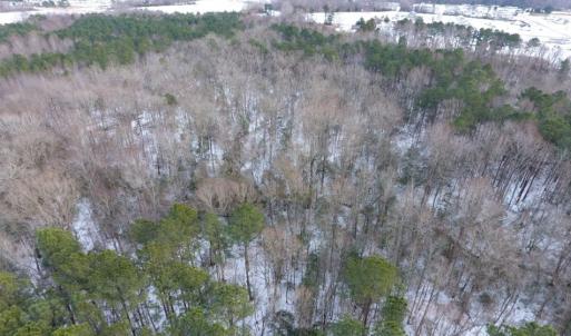Photo of UNDER CONTRACT!  26.89 Acres of Residential and Timber Land For Sale in Edgecombe County NC!