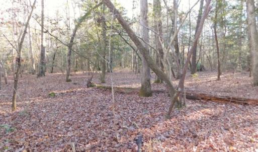 Photo of UNDER CONTRACT!  26.89 Acres of Residential and Timber Land For Sale in Edgecombe County NC!