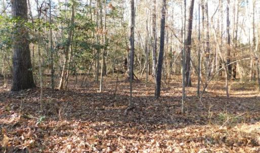 Photo of UNDER CONTRACT!  26.89 Acres of Residential and Timber Land For Sale in Edgecombe County NC!