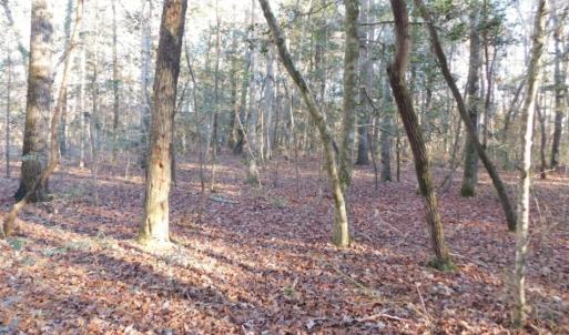 Photo of UNDER CONTRACT!  26.89 Acres of Residential and Timber Land For Sale in Edgecombe County NC!