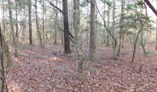 Photo of UNDER CONTRACT!  26.89 Acres of Residential and Timber Land For Sale in Edgecombe County NC!