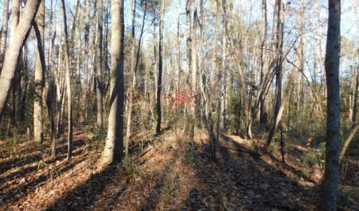 Photo of UNDER CONTRACT!  26.89 Acres of Residential and Timber Land For Sale in Edgecombe County NC!