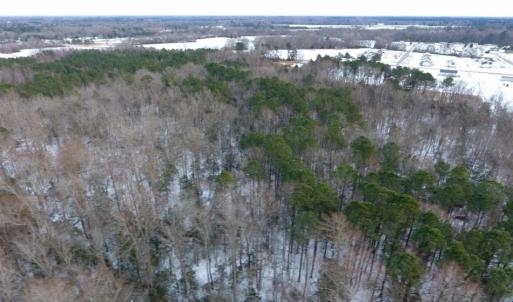 Photo of UNDER CONTRACT!  26.89 Acres of Residential and Timber Land For Sale in Edgecombe County NC!
