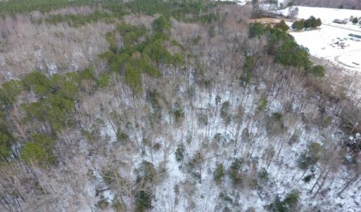Photo of UNDER CONTRACT!  26.89 Acres of Residential and Timber Land For Sale in Edgecombe County NC!