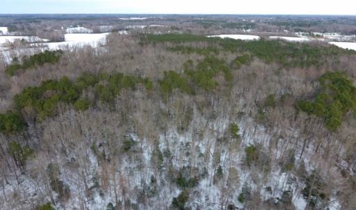 Photo of UNDER CONTRACT!  26.89 Acres of Residential and Timber Land For Sale in Edgecombe County NC!