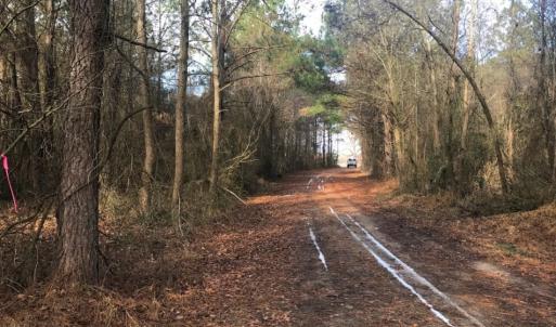 Photo of UNDER CONTRACT!  62.5 Acres of Farm and Timber Land For Sale in Wayne County NC!