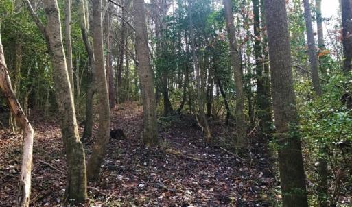 Photo of UNDER CONTRACT!  62.5 Acres of Farm and Timber Land For Sale in Wayne County NC!