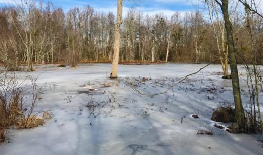 Photo of UNDER CONTRACT!  62.5 Acres of Farm and Timber Land For Sale in Wayne County NC!