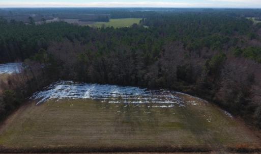 Photo of UNDER CONTRACT!  62.5 Acres of Farm and Timber Land For Sale in Wayne County NC!