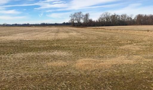 Photo of UNDER CONTRACT!  62.5 Acres of Farm and Timber Land For Sale in Wayne County NC!