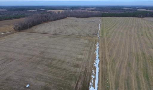 Photo of UNDER CONTRACT!  62.5 Acres of Farm and Timber Land For Sale in Wayne County NC!