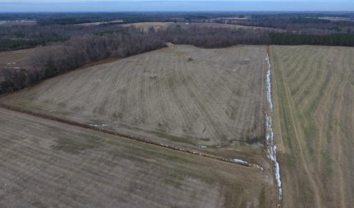 Photo of UNDER CONTRACT!  62.5 Acres of Farm and Timber Land For Sale in Wayne County NC!