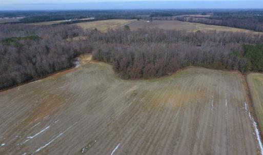 Photo of UNDER CONTRACT!  62.5 Acres of Farm and Timber Land For Sale in Wayne County NC!