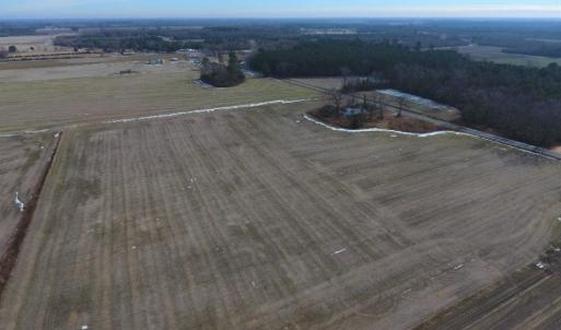 Photo of UNDER CONTRACT!  62.5 Acres of Farm and Timber Land For Sale in Wayne County NC!