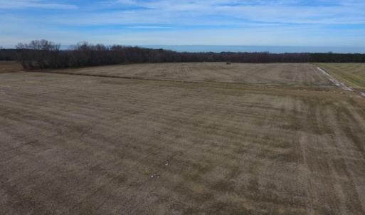 Photo of UNDER CONTRACT!  62.5 Acres of Farm and Timber Land For Sale in Wayne County NC!