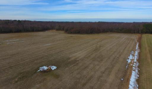Photo of UNDER CONTRACT!  62.5 Acres of Farm and Timber Land For Sale in Wayne County NC!