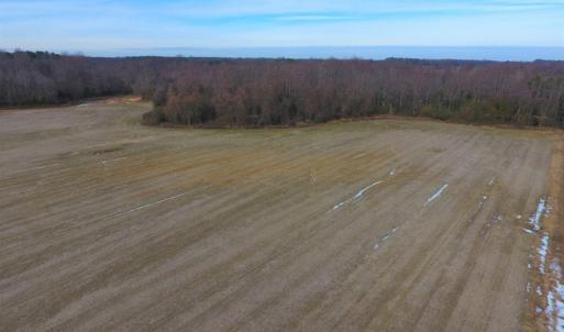 Photo of UNDER CONTRACT!  62.5 Acres of Farm and Timber Land For Sale in Wayne County NC!