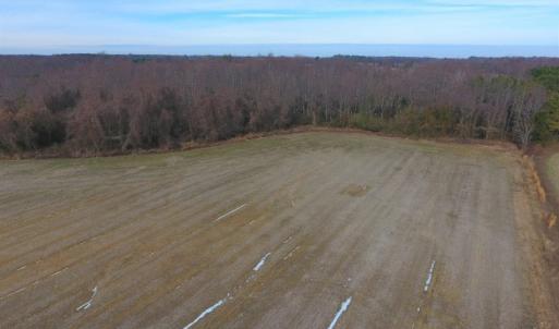 Photo of UNDER CONTRACT!  62.5 Acres of Farm and Timber Land For Sale in Wayne County NC!