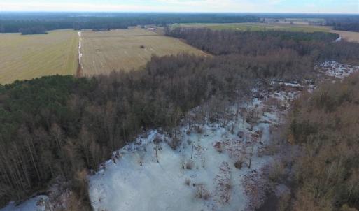 Photo of UNDER CONTRACT!  62.5 Acres of Farm and Timber Land For Sale in Wayne County NC!
