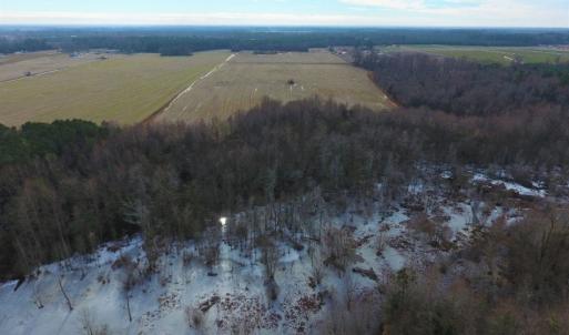 Photo of UNDER CONTRACT!  62.5 Acres of Farm and Timber Land For Sale in Wayne County NC!