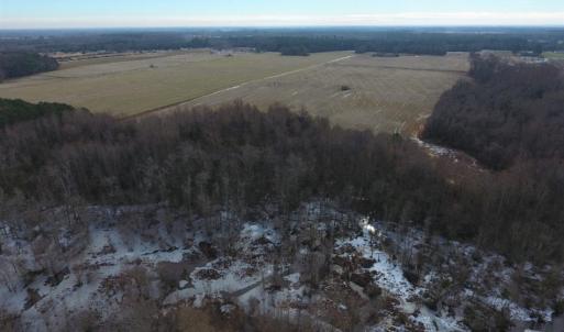 Photo of UNDER CONTRACT!  62.5 Acres of Farm and Timber Land For Sale in Wayne County NC!