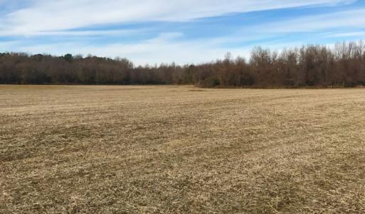 Photo of UNDER CONTRACT!  62.5 Acres of Farm and Timber Land For Sale in Wayne County NC!