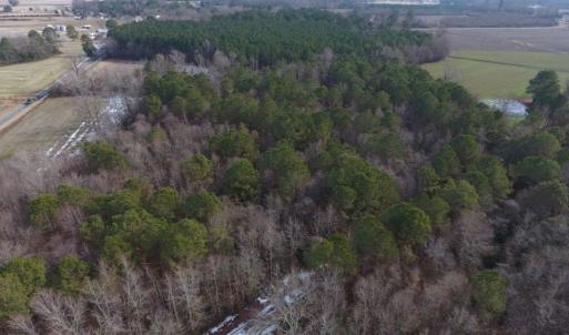 Photo of UNDER CONTRACT!  62.5 Acres of Farm and Timber Land For Sale in Wayne County NC!