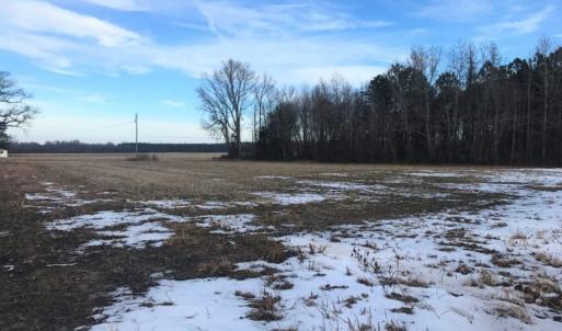 Photo of UNDER CONTRACT!  62.5 Acres of Farm and Timber Land For Sale in Wayne County NC!
