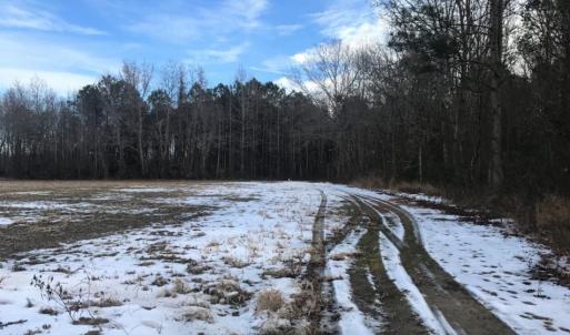 Photo of UNDER CONTRACT!  62.5 Acres of Farm and Timber Land For Sale in Wayne County NC!