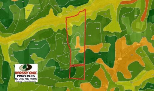 Photo of UNDER CONTRACT!  62.5 Acres of Farm and Timber Land For Sale in Wayne County NC!