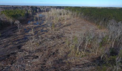 Photo of UNDER CONTRACT!  100 Acres of Hunting and Timber Land For Sale in Nash County NC!